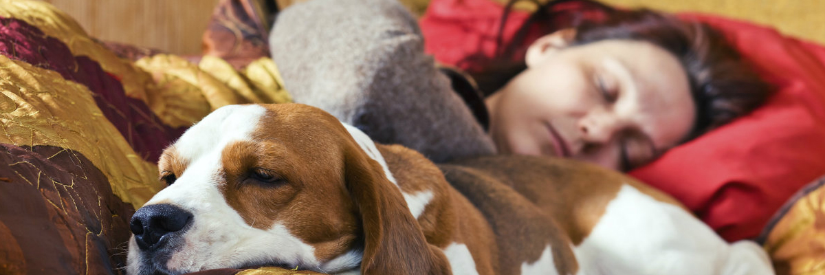 ¿Es bueno dormir con tu mascota?