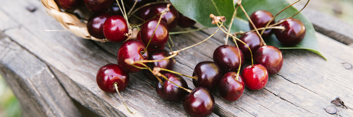 Beneficios ocultos de la cereza: la fruta que ayuda a dormir mejor y recuperarse más rápido